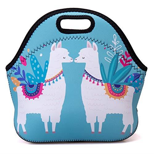 Insulated Neoprene Lunch Bag Solid Color Gourmet Tote Cooler Warm Pouch for School Work Office