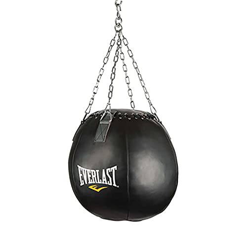 Everlast Wrecking Ball Punching Bag