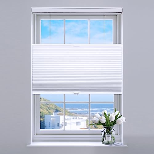 SUNFREE Top Down Bottom Up Cellular Blinds,Cellular Shades Blackout, Honeycomb Window Shade for Windows, 36" W x 64" H, White(Blackout)
