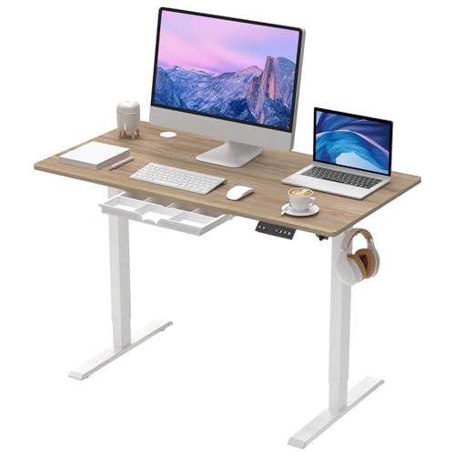 ANSHINE 120CM Electric Standing Desk
