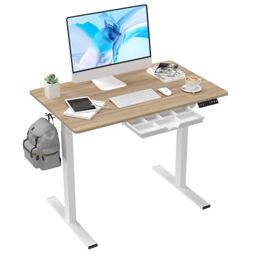 Anshine 100cm Electric Standing Desk