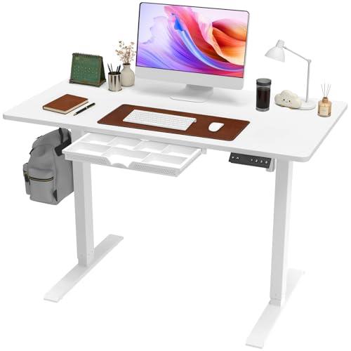 Anshine 100cm Electric Standing Desk