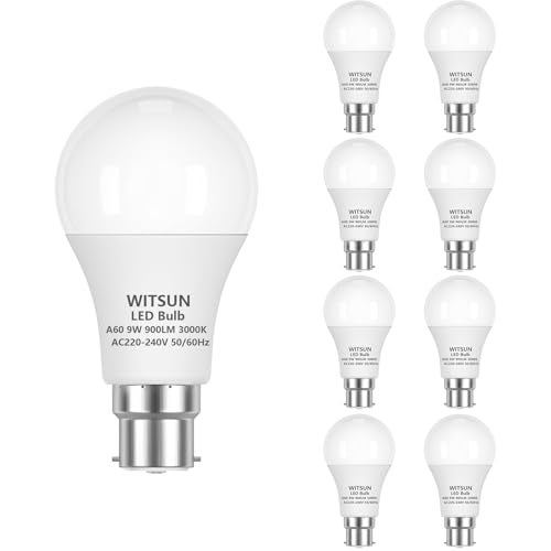 B22 LED Light Bulbs