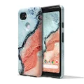 Google Earth Live Case for Pixel 2 XL - River