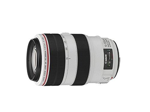 Canon EF 70-300mm f/4-5.6L IS USM Lens, White