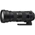 Sigma 4740955 150-600mm f/5-6.3 DG OS HSM Sports Optical Lens for Nikon, Black
