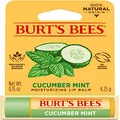 Burt's Bees 100% Natural Origin Moisturising Lip Balm, Cucumber Mint with Beeswax, 1 Tube, 4.25g