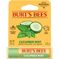 Burt's Bees 100% Natural Origin Moisturising Lip Balm, Cucumber Mint with Beeswax, 1 Tube, 4.25g