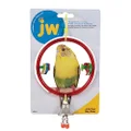 JW Pet 31051 Insight Ring Clear Bird Toy, Assorted, Small