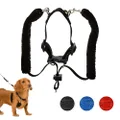 Sporn Original Training Dog Halter Black Small