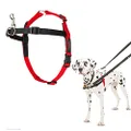 Company of Animals 42331 Halti Harness for Dogs, Medium, Black/Red