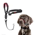 Company of Animals Halti Optifit Headcollar for Dogs, Black/Red, Large