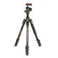 Manfrotto Befree Advanced Designed for α Cameras from Sony