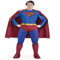 Rubie's Adult Superman Returns Collector's Edition,Large Blue/Red