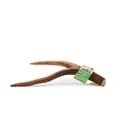 Whole Large Antler 1 Pack, Natural New Zealand Long Lasting Dog Treat Chew, Perfect for Large Breeds