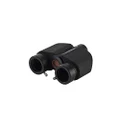 Celestron 93691 Stereo Binocular Viewer for Telescopes Black