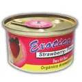 Exotica 76SAVSTR Strawberry Scent a Vent Air Freshener