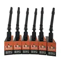 Pack of 6 - SWAN Ignition Coil for Ford BA/BF/FG/SX/SY/SYII (4.0 Litre/Turbo/E-gas)