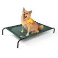 The Original Elevated Pet Bed by Coolaroo, Large, Brunswick Green