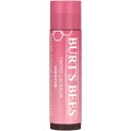 Burt's Bees 100% Natural Origin Tinted Lip Balm, Hibiscus with Shea Butter and Botanical Waxes, 1 Tube, 4.25g