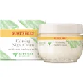 Burt's Bees Calming Night Cream Gentle Moisturiser for Face & Sensitive Skin, Made with Aloe Vera & Rice Milk to Soothe Skin, 50g