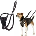 Halti Dog Harness, No Pull Harness for Small Dogs, Stop Dog Pulling on Walks with Halti Dog Harnesses, for Small Dogs