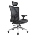 Ergonomic Office Chair, Computer Chair Desk Chair High Back Chair Breathable, Skin-Friendly Mesh Chair Adjustable 3D Armrest and Lumbar Support (Black)