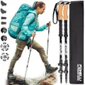 Foxelli Trekking Poles ? Collapsible Lightweight Shock-Absorbent Carbon Fiber Hiking Walking & Running Sticks with Cork Grips Quick Locks 4 Season/All Terrain Accessories and Carry Bag 2 Poles