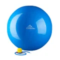 Black Mountain Products Static Strength Exercise 2000 Lbs Stability Ball with Pump, Blue, 85 cm