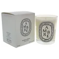 Diptyque I0004921 Scented Candle - Ambre (Amber) Candles