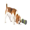 PetSafe Kibble Chase Dog Toy, Treat Toy, Intelligence Dog Toy, Interactive Dog Toy, Battery Operated, Snack Toy, Robust, Small, Medium, Large Dogs