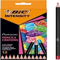 BIC Intensity Premium Colouring Pencil - Pack of 12 Fashion Assorted Wood Colour Pencils