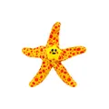 Outward Hound Floatiez Starfish Floating Dog Toy, Medium