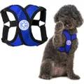 Gooby Comfort X Step In Harness - Blue, Small - Comfort X Step-in Small Dog Harness Patented Choke-Free X Frame - On the Go Dog Harness for Medium Dogs No Pull or Small Dogs for Indoor and Outdoor Use