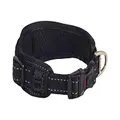 Rogz Classic Non Shift Padded Dog Collar with Rogloc Black Large