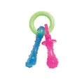 Nylabone N330 Puppy Chew Teething Pacifier Bacon Chew Toy, Green, X-Small