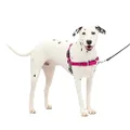 PetSafe Easy Walk Dog Harness.
