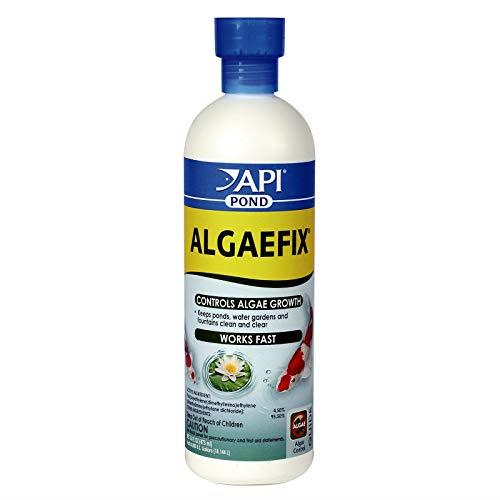 API Algae Control Solution, 473 ml, (Pack of 1), APH199