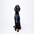 Mog & Bone Neoprene Dog Harness, Blue/White, Small
