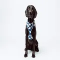 Mog & Bone Neoprene Dog Harness, Blue/White/Grey, Small