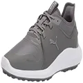PUMA Men's Ignite Fasten8 Pro Golf Shoe, Quiet Shade-Quiet Shade, 11.5 US