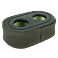 Bynorm Air Filter for Briggs 550EX Cartridge Type