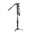 Manfrotto Element MII Video Kit Aluminium Fluid Monopod with Video Head, Slim and Lightweight, Loads up to 4kg, Foldable Fluid Base, 4 Sections, Twist Locks, for mirrorless and DSLR Cameras