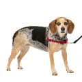 PetSafe Easy Walk No-Pull Dog Harness - The Ultimate Harness to Help Stop Pulling - Take Control & Teach Better Leash Manners - Helps Prevent Pets Pulling on Walks - Small/Medium, Red/Black