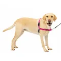 PetSafe Easy Walk No-Pull Dog Harness - The Ultimate Harness to Help Stop Pulling - Take Control & Teach Better Leash Manners - Helps Prevent Pets Pulling on Walks - Large, Raspberry/Gray
