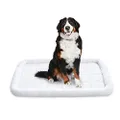 Amazon Basics Padded Pet Bolster Bed - 89 x 56 centimeters