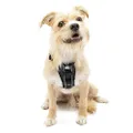 Kurgo Dog Harness | Pet Walking Harness | Small | Black | No Pull Harness Front Clip Feature for Training Included | Car Seat Belt | Tru-Fit Quick Release Style