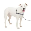 PetSafe Easy Walk Deluxe Dog Harness, No Pull Dog Harness – Perfect for Leash & Harness Training – Stops Pets from Pulling and Choking on Walks – Steel Black Medium/Large