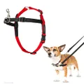 The Company Of Animals Halti Harness for Dogs, Small, Black/Red