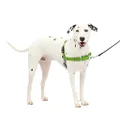 PetSafe Easy Walk Dog Harness, No Pull Dog Harness, Apple Green/Gray, Medium/Large (EWH-HC-M/L-APL)